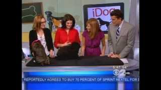 Training Your Dog To Use an iPad, CBS News