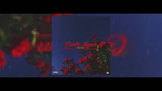 Big Soto - Cada Lunar🌹 (Audio Official)