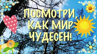 Ссылка