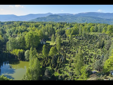 Dom do wynajęcia Karkonosze - wirtualny spacer z lektorem PL