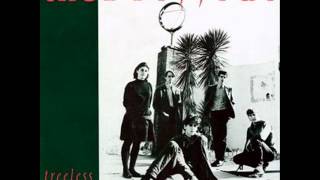 The Triffids - Hell of a Summer