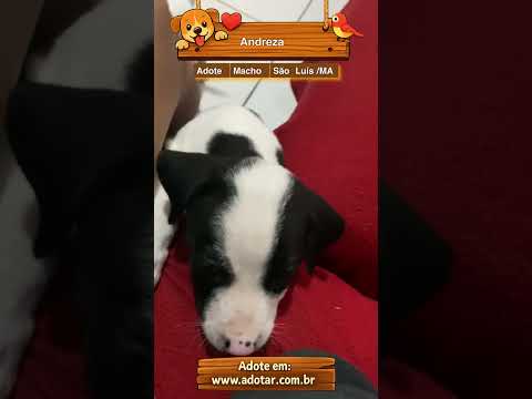 Vídeo de Andreza 
