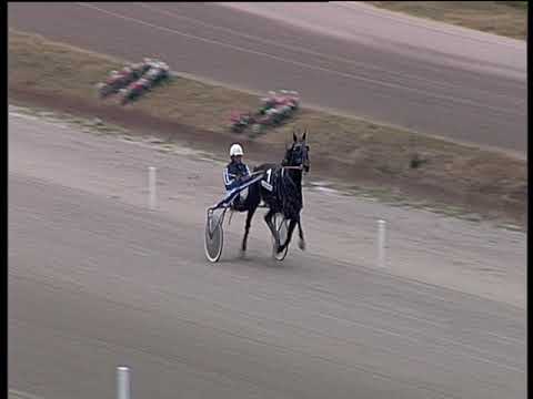 Trotto 08/01/2019 - 1ª prova di qualifica