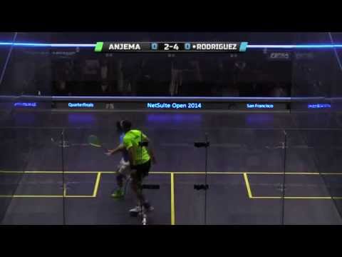 Squash : 2014 Netsuite Open - QF Roundup - Anjema vs Rodriguez