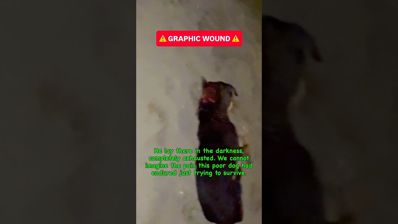 Roosh video