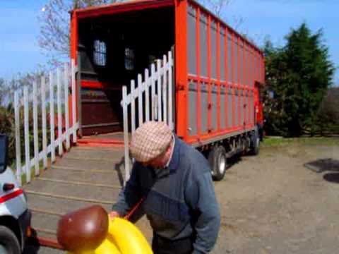 ray craggs middlesbrough