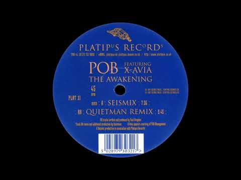 Pob ft. X-Avia - The Awakening (Seismix)