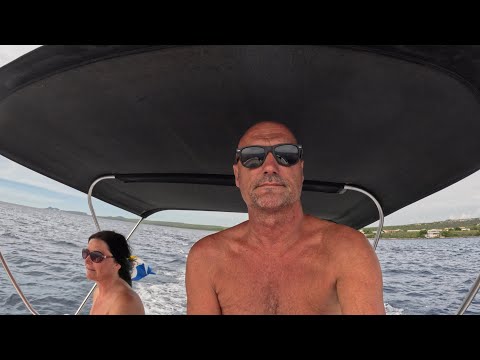 🔥 Miami Vice Cruisin the Caribbean 🌴💦