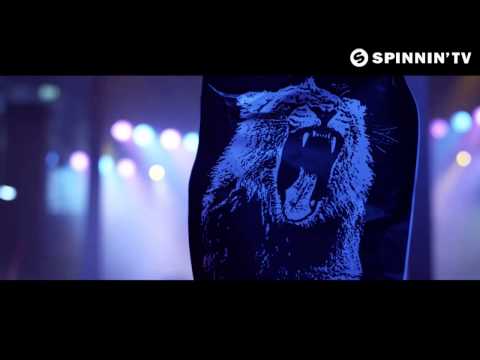 Martin Garrix vs. Nirvana - Smell Like Animals (Nemy Mashup)