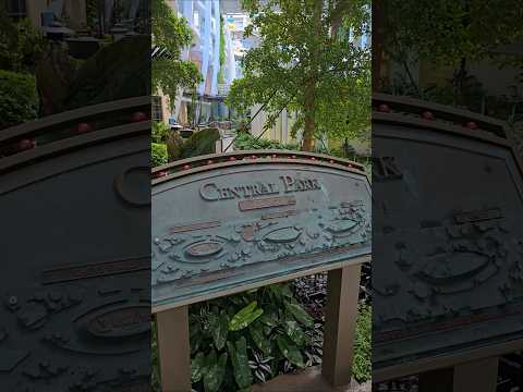 Thumbnail for Wonder of the Seas - There's nothing like Central Park #caribbean #vacation #cruise