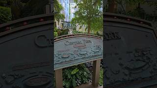 Wonder of the Seas - There's nothing like Central Park #caribbean #vacation #cruise