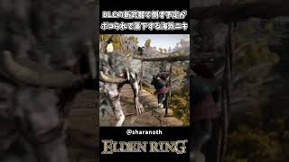 DLCの新武器で倒す予定がボコられて落下する海外ニキｗｗ【ELDEN RING】
