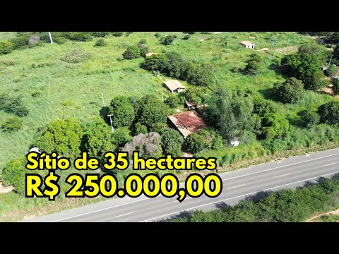 Sítio barato 35 hectares em Cristino Castro Piauí