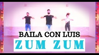 ZUM ZUM Illegales | BALLI DI GRUPPO | BAILA CON LUIS 2017/2018