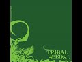 Tribal Seeds - Sun N' Water