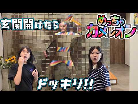 玄関開けたらリアル！めっちゃカメレオン🌈himawari-CH