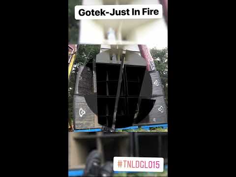 TNLDGL015 - Gotek  "Just In Fire"