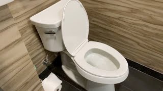 Best Toilet for 2025! Kohler Wellworth Toilet Review