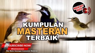 Download lagu #1 🔴Kompilasi 3 Masteran Untuk Murai Batu Juara Cucak Cungkok Cucak Jenggot Kolibri Manggar❗️ mp3 Download lagu #1 🔴Kompilasi 3 Masteran Untuk Murai Batu Juara Cucak Cungkok Cucak Jenggot Kolibri Manggar❗️ mp3