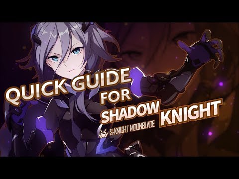 Honkai Impact 3 Shadow Knight Quick Guide
