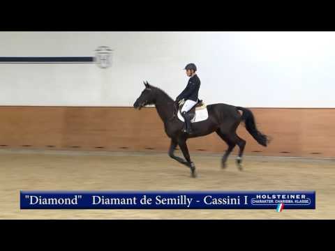 132. Diamond v. Diamant de Semilly - Cassini I