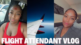 FLIGHT ATTENDANT VLOG | Another Passport problem, Caribbean Carnival 🇹🇹, IT Meltdown clips | VLOG 9