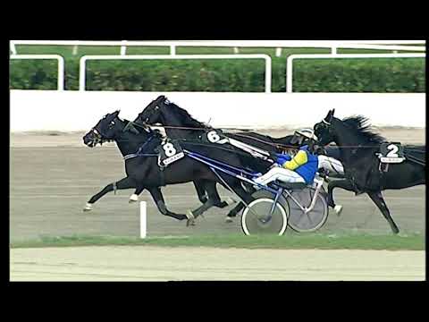 Napoli Trotto 22/10/2021 - 2ª corsa