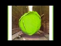 Do The Dirt  - The Meters   (1972)