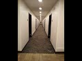 4VID