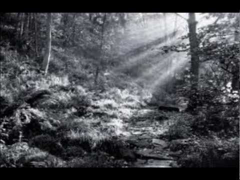 Shallow Rivers ~Echoes Of The Fall
