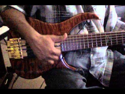Peavey CIRRUS 2009 6 string image 8