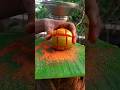 Amazing Masala Guava Traditional Food Home Traditional Fresh Guava Masala Shorts Masala Guava