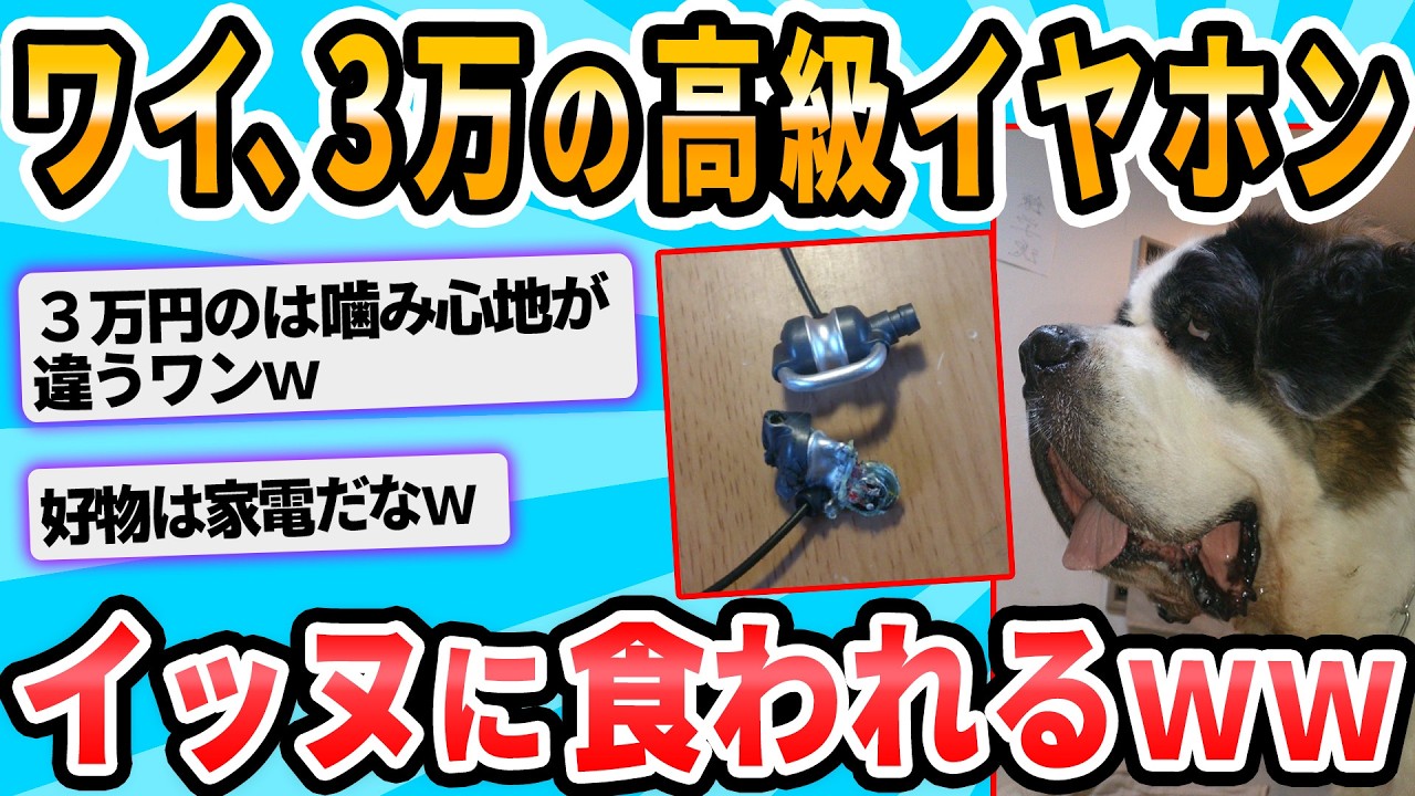 【2ch面白いスレ】ワイの三万のイヤホン、ｲｯﾇに食われる