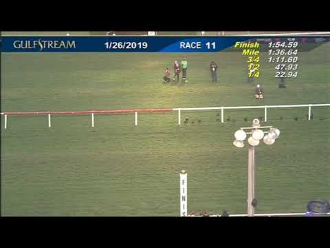 Pegasus World Cup Turf 2019 - Gulfstream Park Race 11 - January 26, 2019