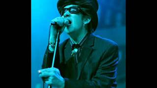 The Pogues - If I Should Fall from Grace with God