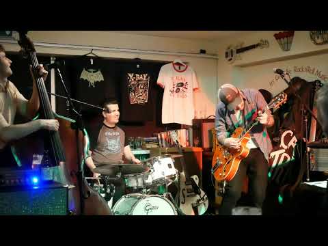 X Ray Cat Trio  13.3.2020