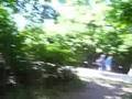 At The Bronx Zoo