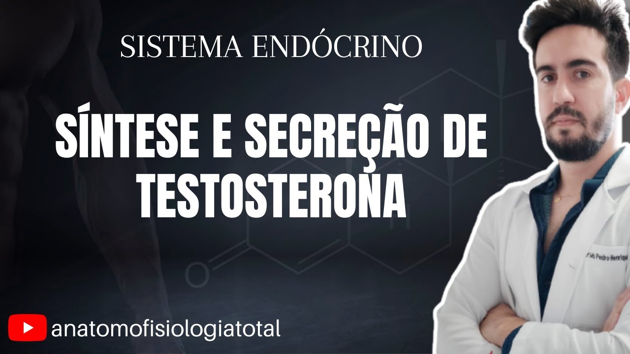 AULA 03 - SÍNTESE E SECREÇÃO DE TESTOSTERONA (FISIOLOGIA DO SISTEMA ENDÓCRINO)