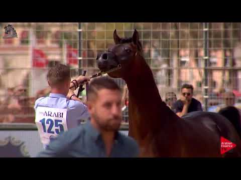 Menton 2018 - Class 8