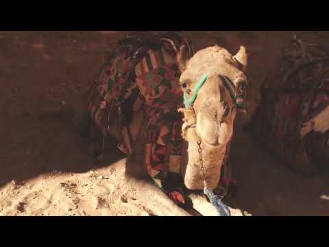 Land Of The Prophets HD