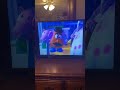Toy Story 1995 Woody Fails To Escape Sid S House VHS Capture