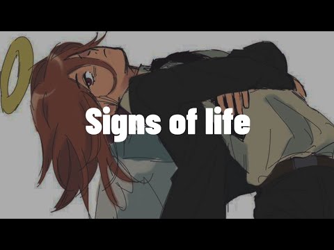 Every Move A Picture - Signs of Life (Lyrics) | Sample song