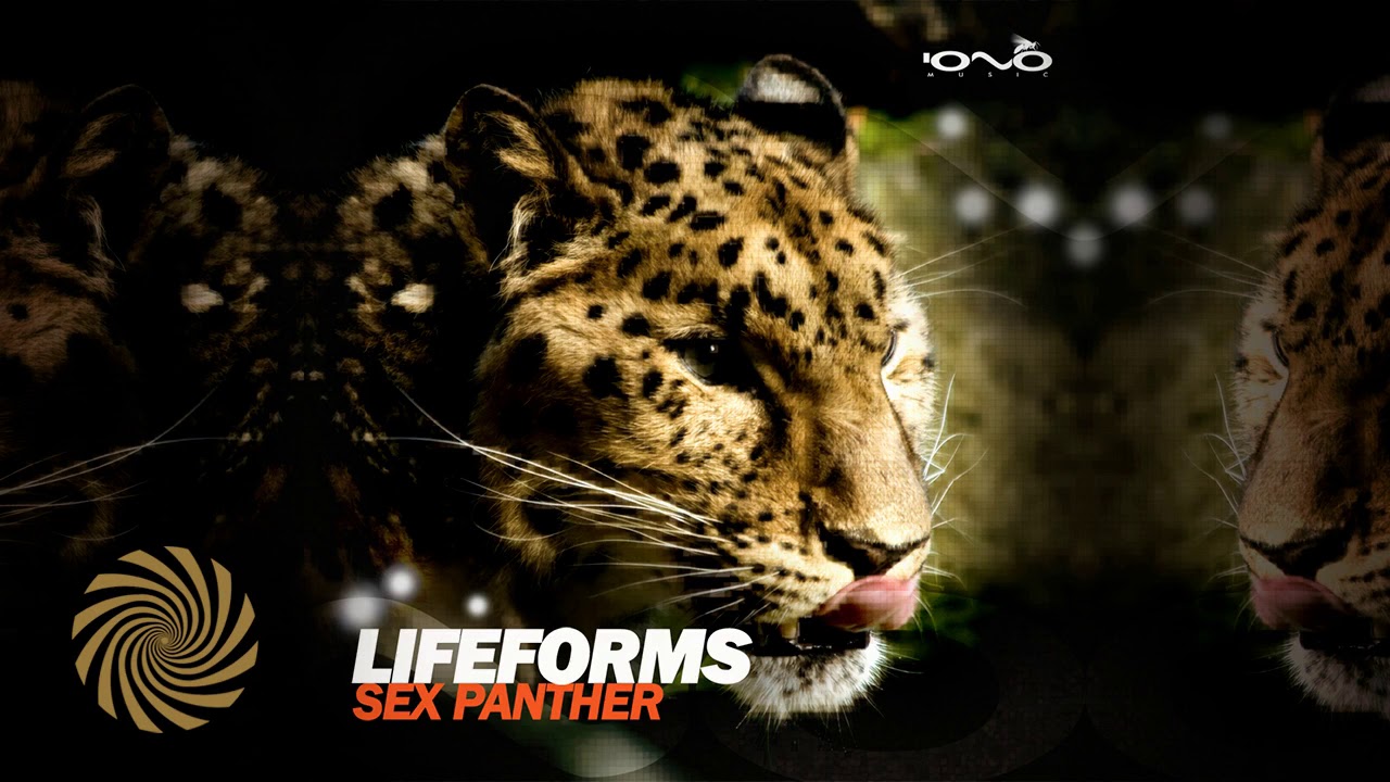 Red Forms - Lifeforms скачать песню в mp3 и слушать онлайн бесплатно