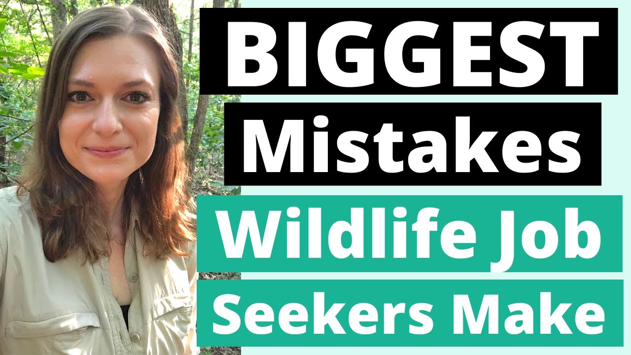 9 Biggest Mistakes Struggling Wildlife Job Seekers Make