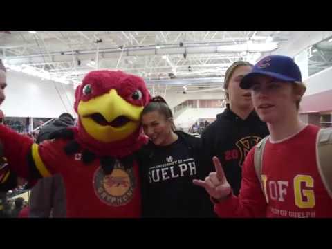 A Day in the Life of Gryph