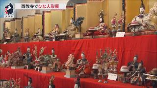 2月11日【びわ湖放送ニュース】西教寺でひな人形展