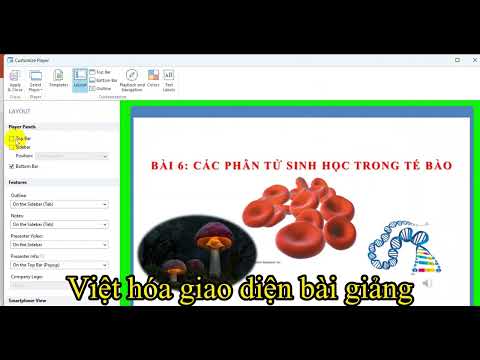 O que fazer com o e-learning do IspringSuite