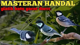 Download lagu masteran handal glatik batu gacor full 1 jam mudah masuk paling ampuh 2024 mp3 Download lagu masteran handal glatik batu gacor full 1 jam mudah masuk paling ampuh 2024 mp3