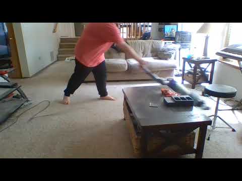 Dyson DC65 Animal Plus Vacuum - The Family Room