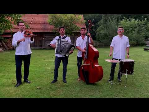 Dzikie Wino - Cyganeczka